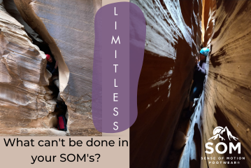 What can you not do in your SOMs? The limit is definted by You!